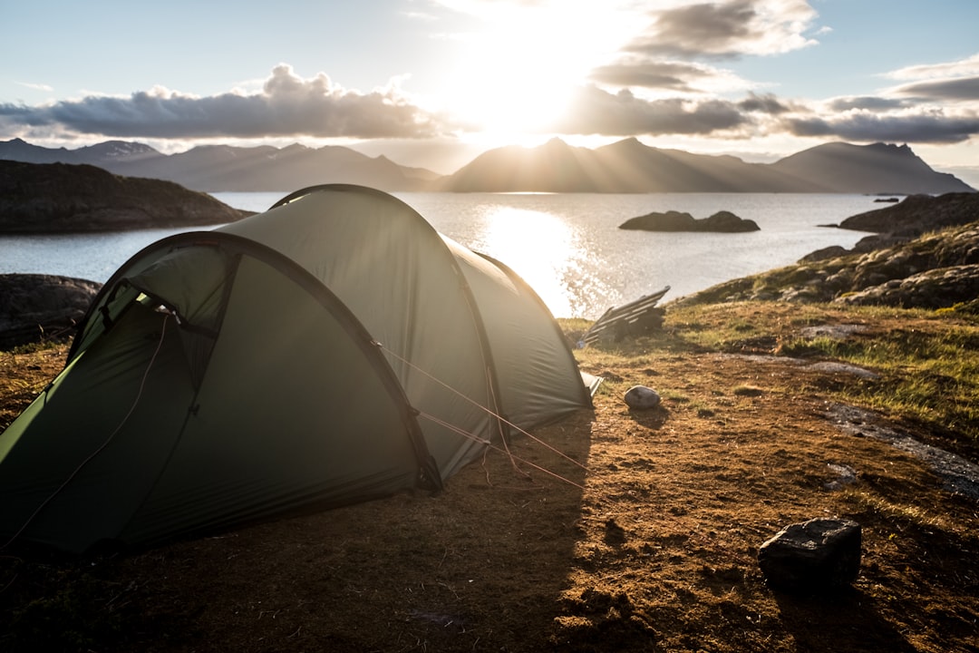 Oplev Campinglivets Glæder på Ribe Camping