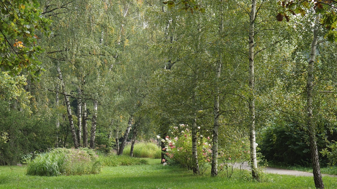 Oplev Skønheden ved Campingpladser i Jylland